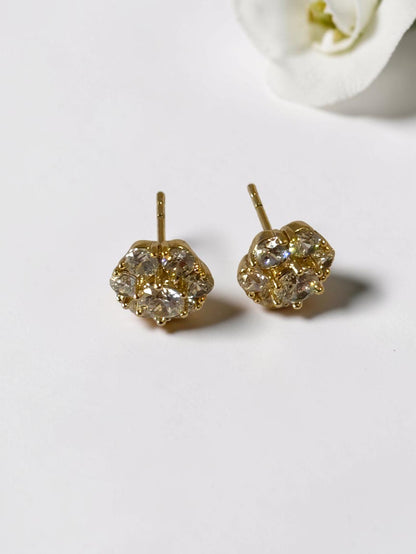 GOLDEN DIAMOND RUSTY EARRINGS
